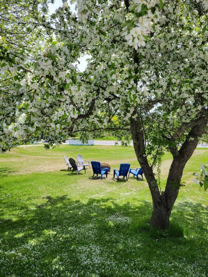 Yardarm Motel Searsport 외부 사진